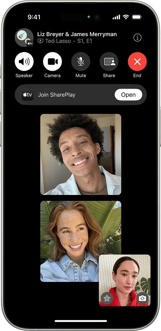 netflix facetime