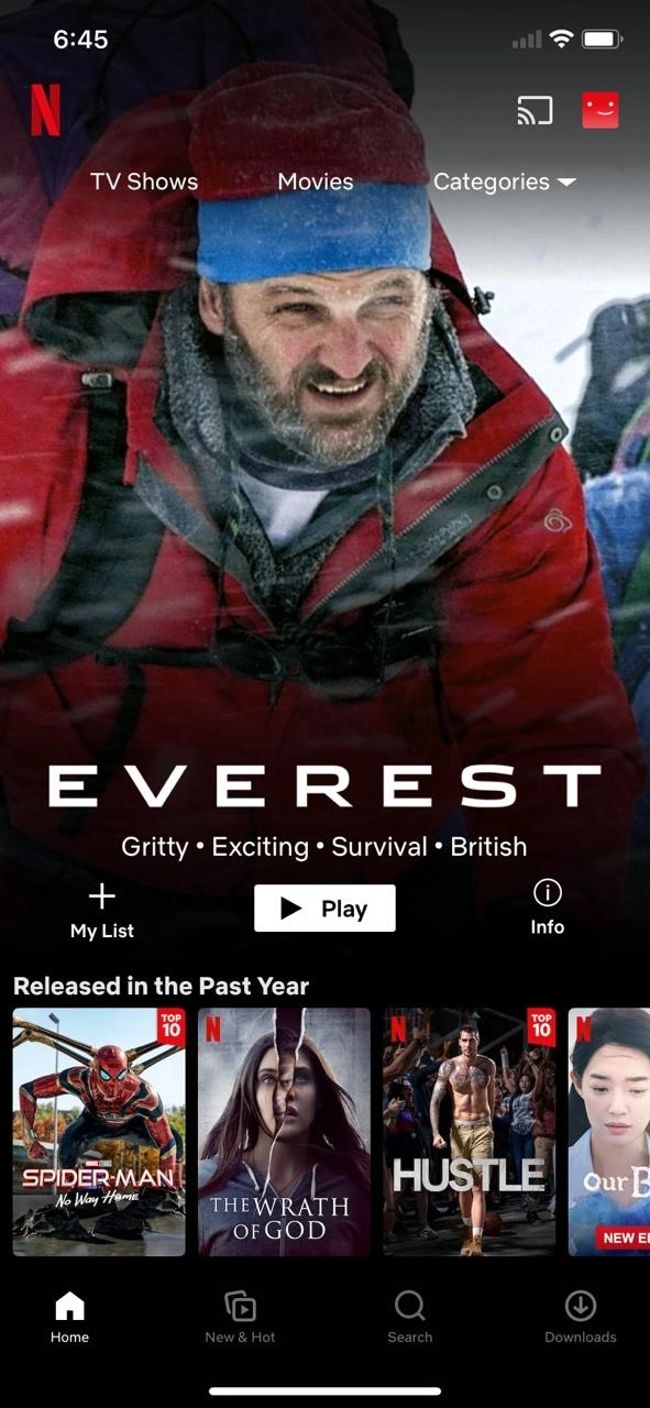 vpn netflix iphone